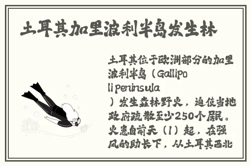 把我的香肠塞进你的甜甜圈里